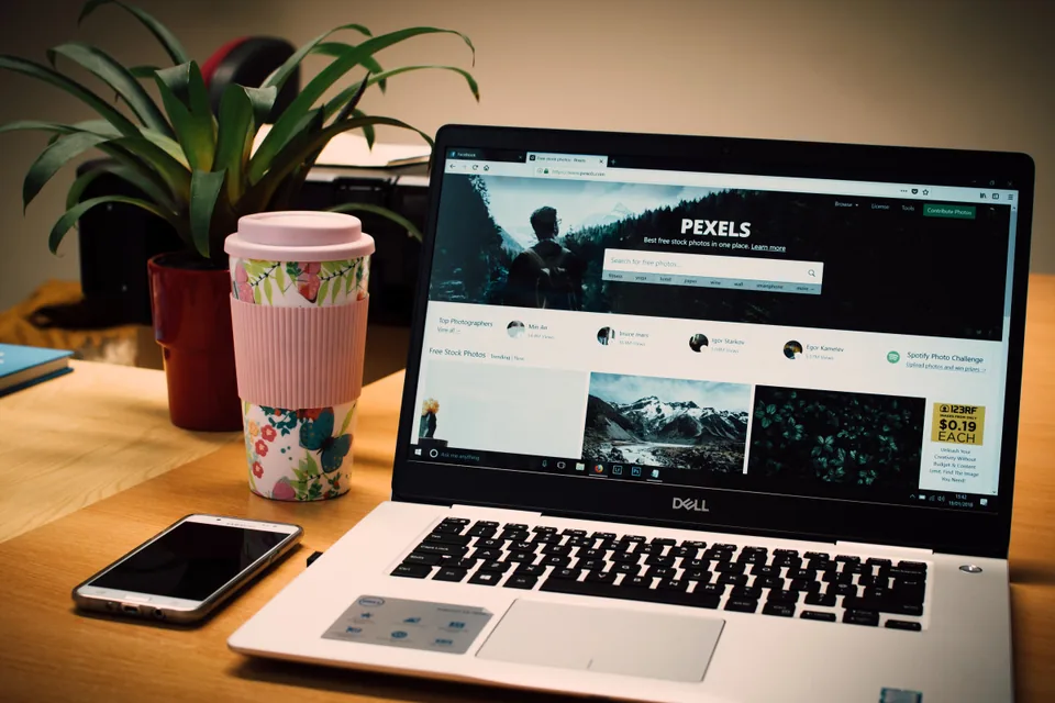 Web development
